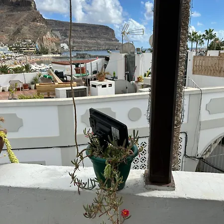 Semesterbostad Casa Danesa - Cityhouse At The Palm Tree